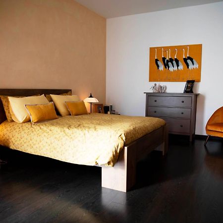 Sound Of Colors - Art Design Apartment Desenzano del Garda Exteriér fotografie